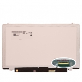 Dalle Ecran Lenovo ThinkPad T14s ePrivacy Guard